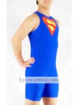 Blue Super Hero Catsuit