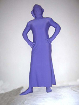 Purple Unicolor Lycra Spandex Zentai Dress and Pant Purple Unicolor Lycra Spandex Zentai Dress and Pant
